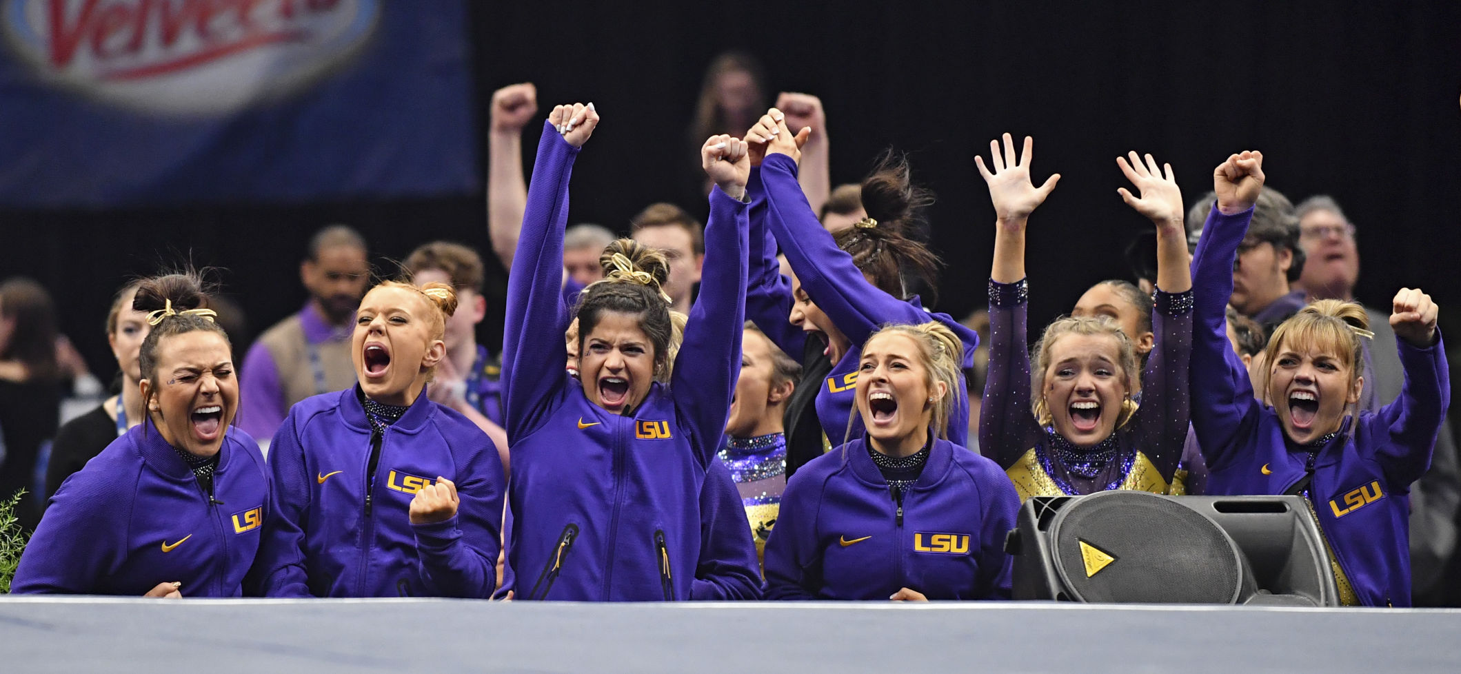 lsugymnastics.032219 HS 1100.JPG